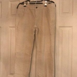 Garnet Hill stretch velvet/moleskin skinny jean